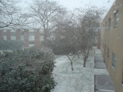 snow 2