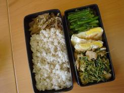 lunch
