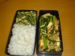lunch