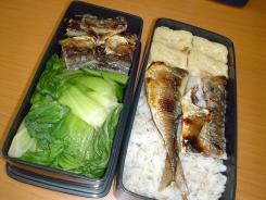 lunch