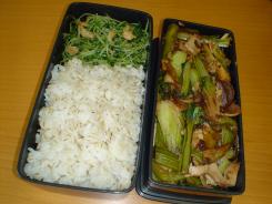 lunch