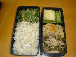 lunch