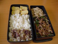 lunch
